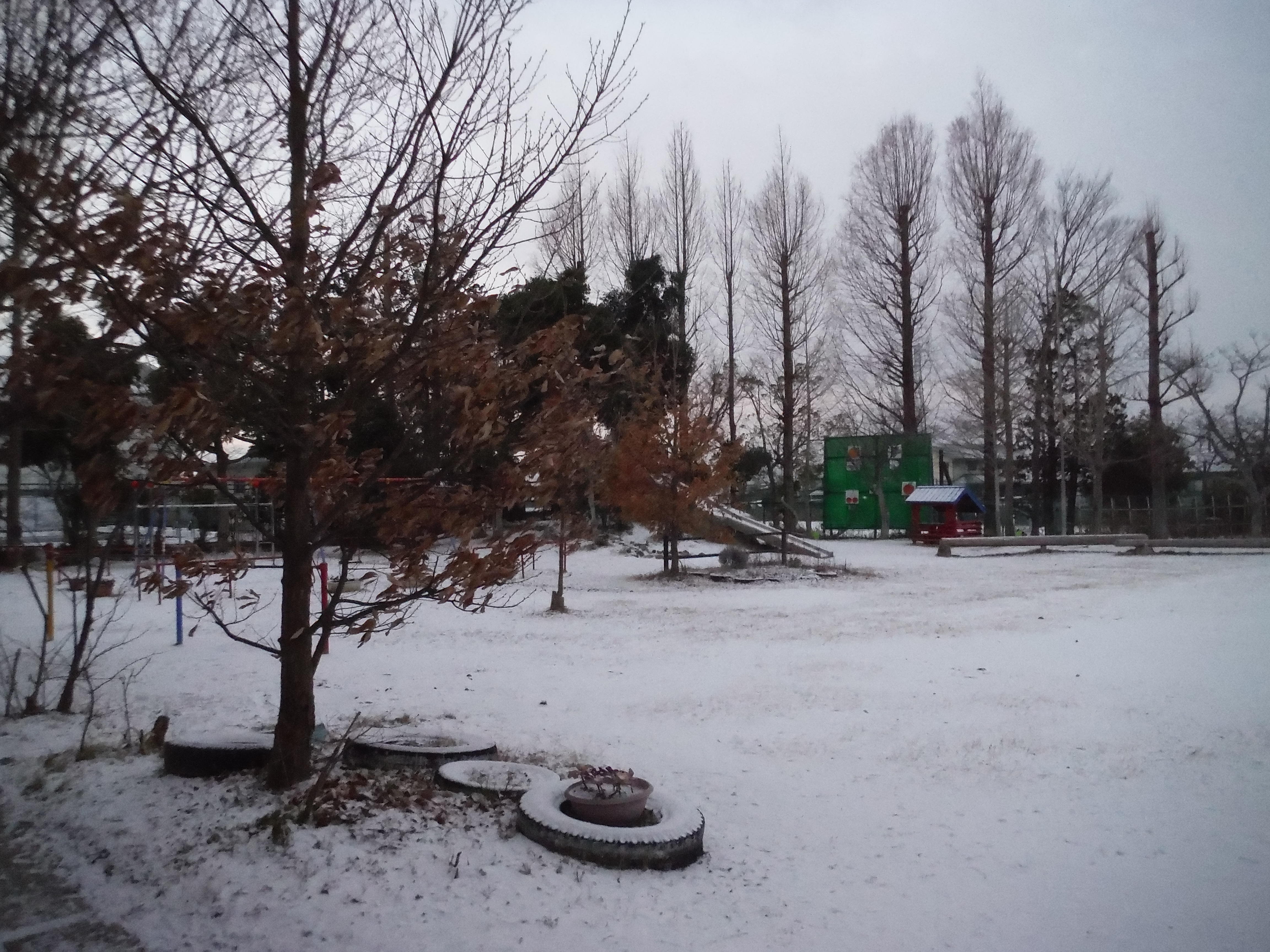 DSCF5312.JPG