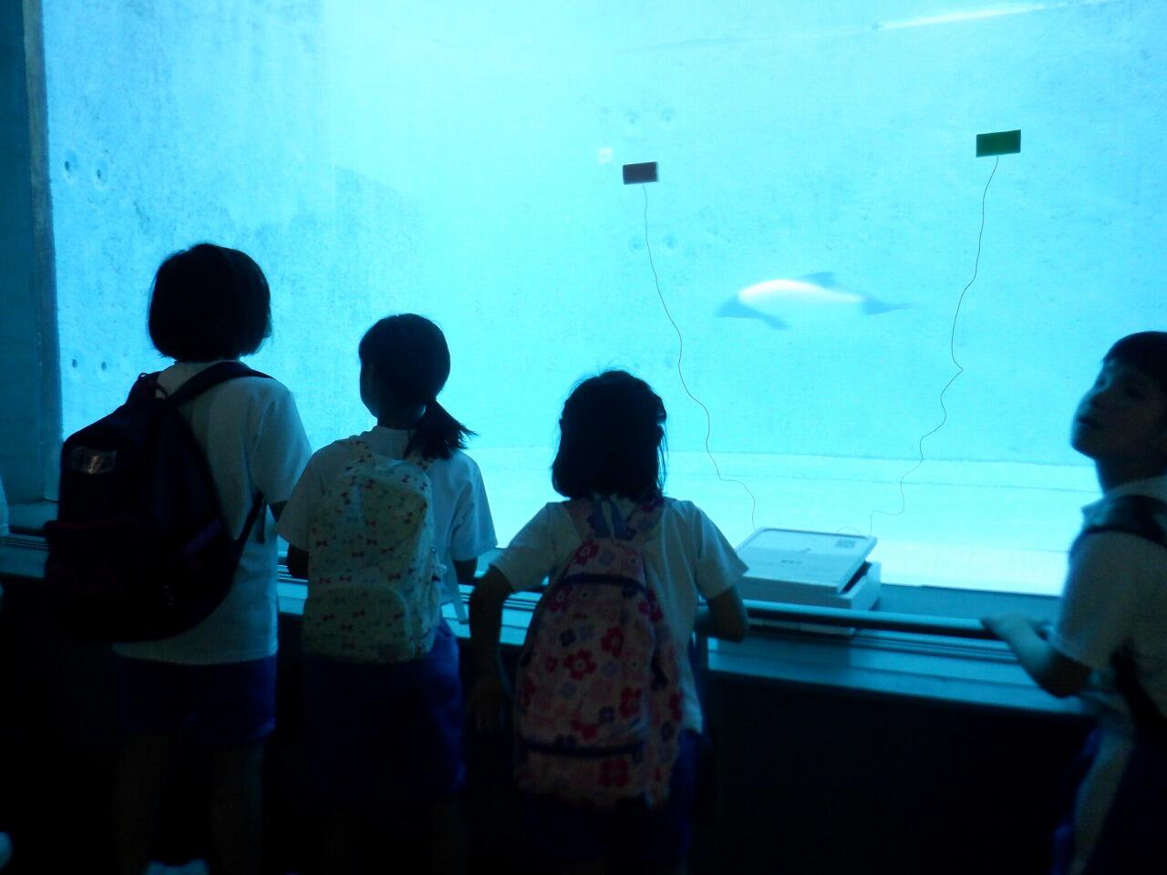 DSCF3796.jpg