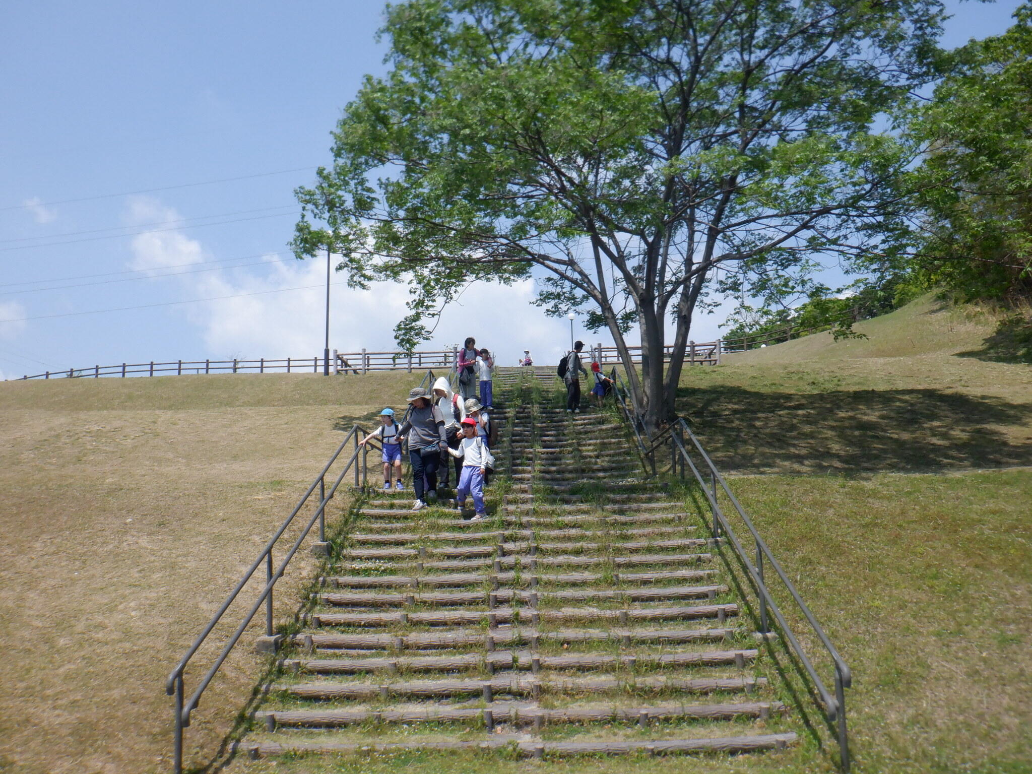DSCF2272.JPG